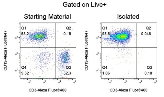 Mouse Pan B Cell Isolation Kit (Column-Based)