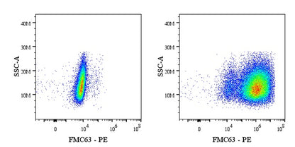 Anti-FMC63 Recombinant Rabbit mAb (PE Conjugate) (S-2163-77)