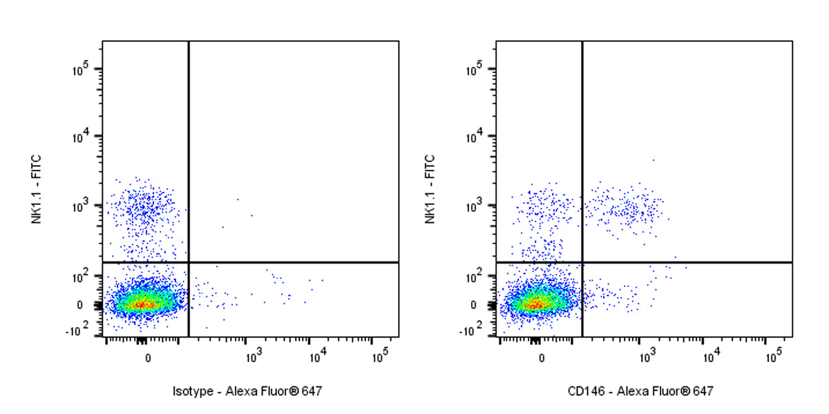 Alexa Fluor® 647 Rat Anti-Mouse CD146 Antibody (S-R606)