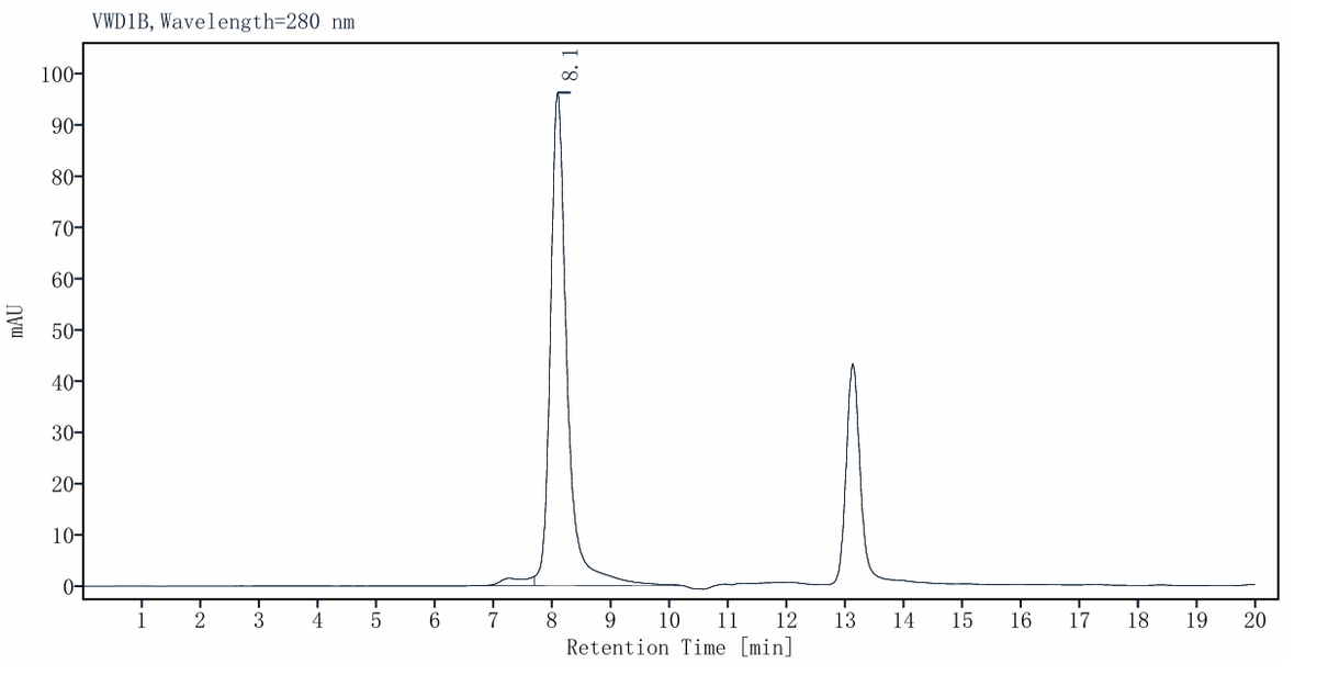 STUB1/CHIP Protein, Human