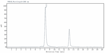 STUB1/CHIP Protein, Human