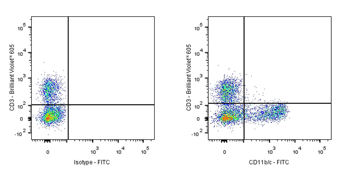 FITC Mouse Anti-Rat CD11b/c Antibody(OX-42)