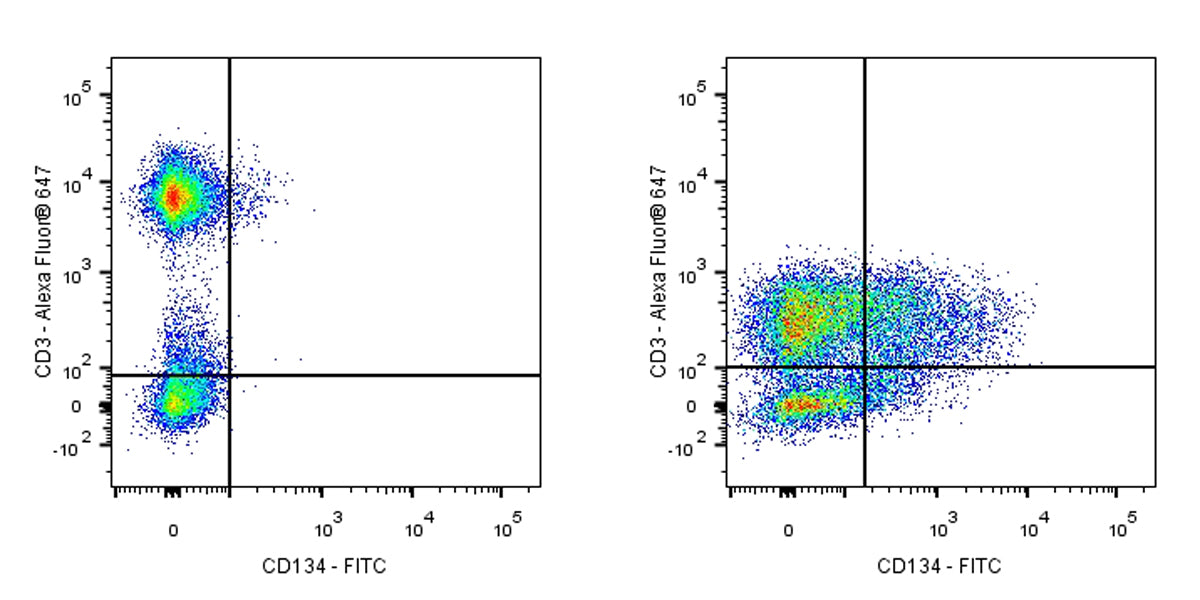 FITC Mouse Anti-Human CD134 Antibody (ACT35)