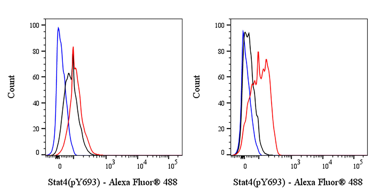 Mouse Anti-Human Stat4 (pY693) Antibody (S-3782)