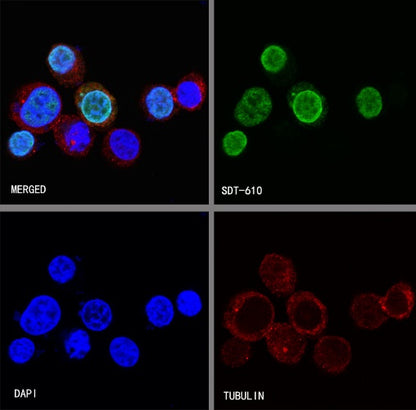 V5 Tag Mouse mAb (S-610-66)