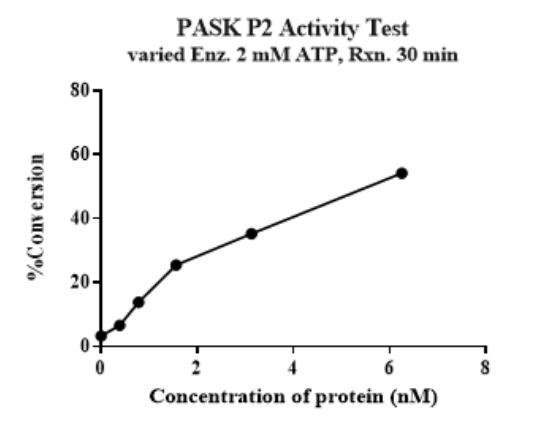 PASK GST Tag Protein, Human