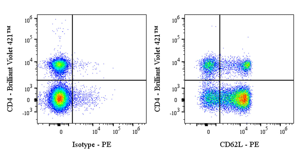 PE Rat Anti-Mouse CD62L Antibody (MEL-14)