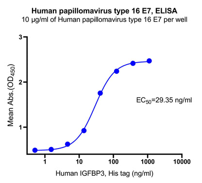 Human papillomavirus type 16 E7
