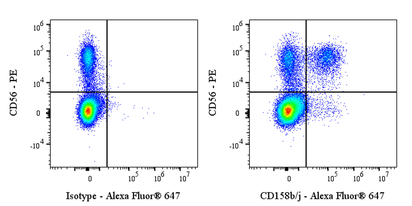Alexa Fluor® 647 Mouse Anti-Human CD158b/j Antibody (S-2917)