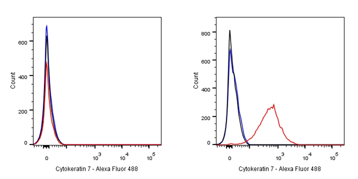 S-RMab® Cytokeratin 7 Recombinant Rabbit  mAb,PBS Only (SDT-121-17)