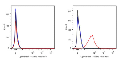 S-RMab® Cytokeratin 7 Recombinant Rabbit  mAb,PBS Only (SDT-121-17)