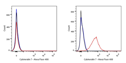 S-RMab® Cytokeratin 7 Recombinant Rabbit  mAb,PBS Only (SDT-121-17)
