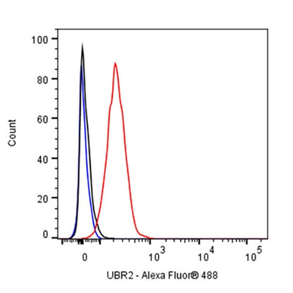 UBR2 Recombinant Rabbit mAb (S-2041-163)