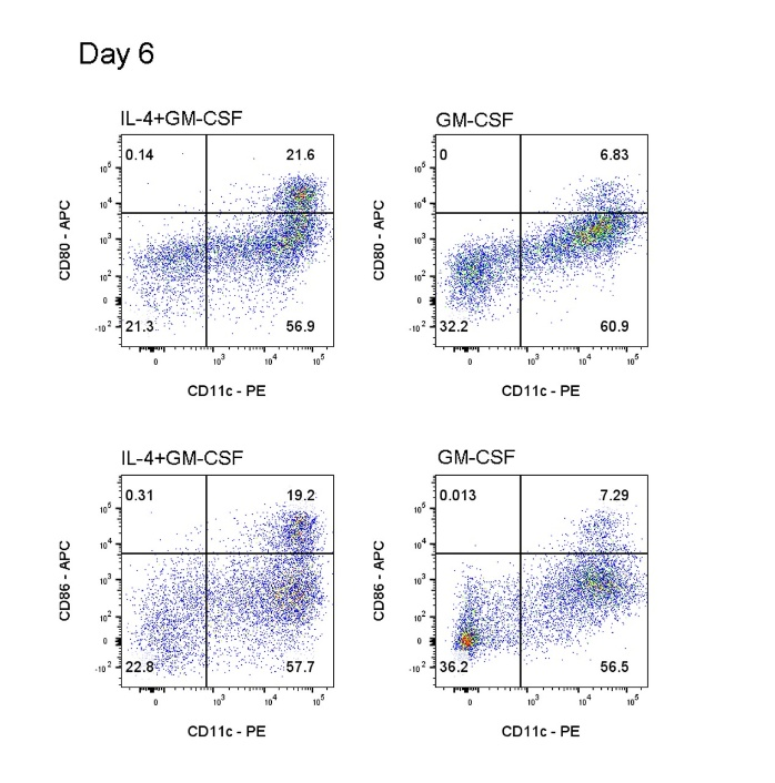 BMDC Differentiation Cytokine Set, Mouse