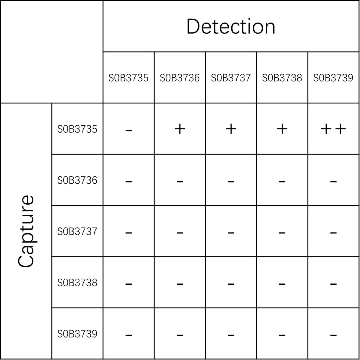 VEGF165 Recombinant Rabbit mAb (SDT-3855-2)