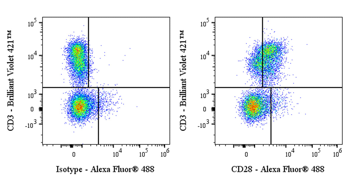 Invivo Anti-Mouse CD28 Recombinant mAb