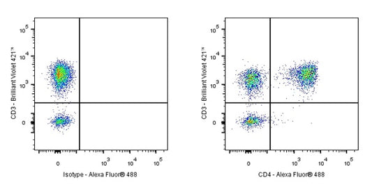 CD4 Chimeric Recombinant Rabbit mAb (13B8.2)