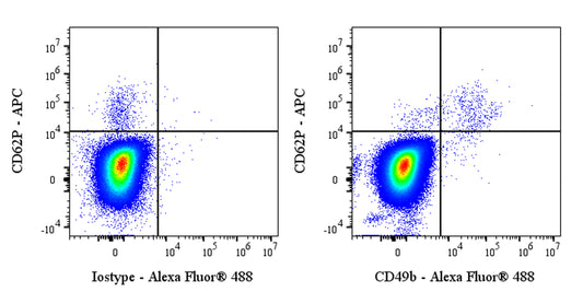 Mouse Anti-Human CD49b Antibody (AK-7)
