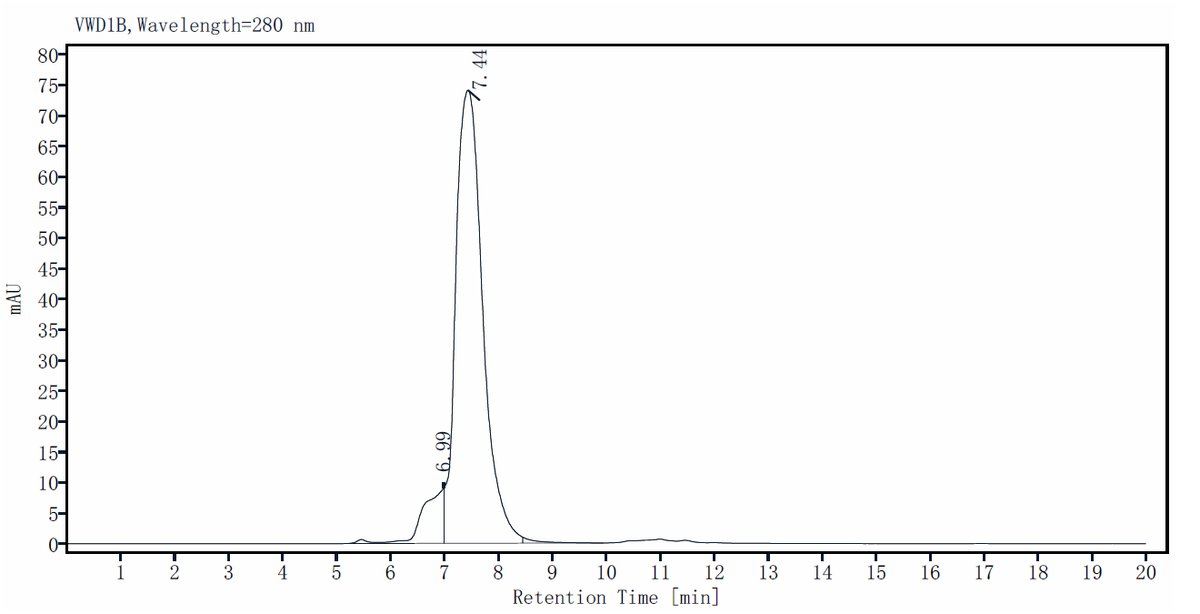 CD229/SLAMF3 His Tag Protein, Mouse