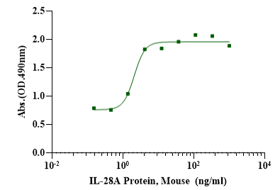 IL-28A/IFN-λ2 Protein, Mouse