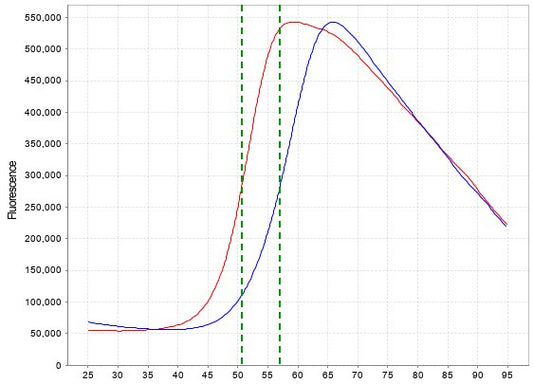 TEAD2(YBD), His Tag Protein