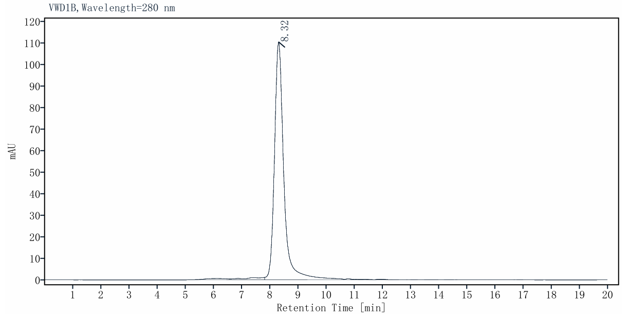 CLEC7A His Tag Protein, Cynomolgus