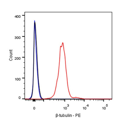 β-tubulin Recombinant Rabbit mAb (PE Conjugate) (S-312-113)