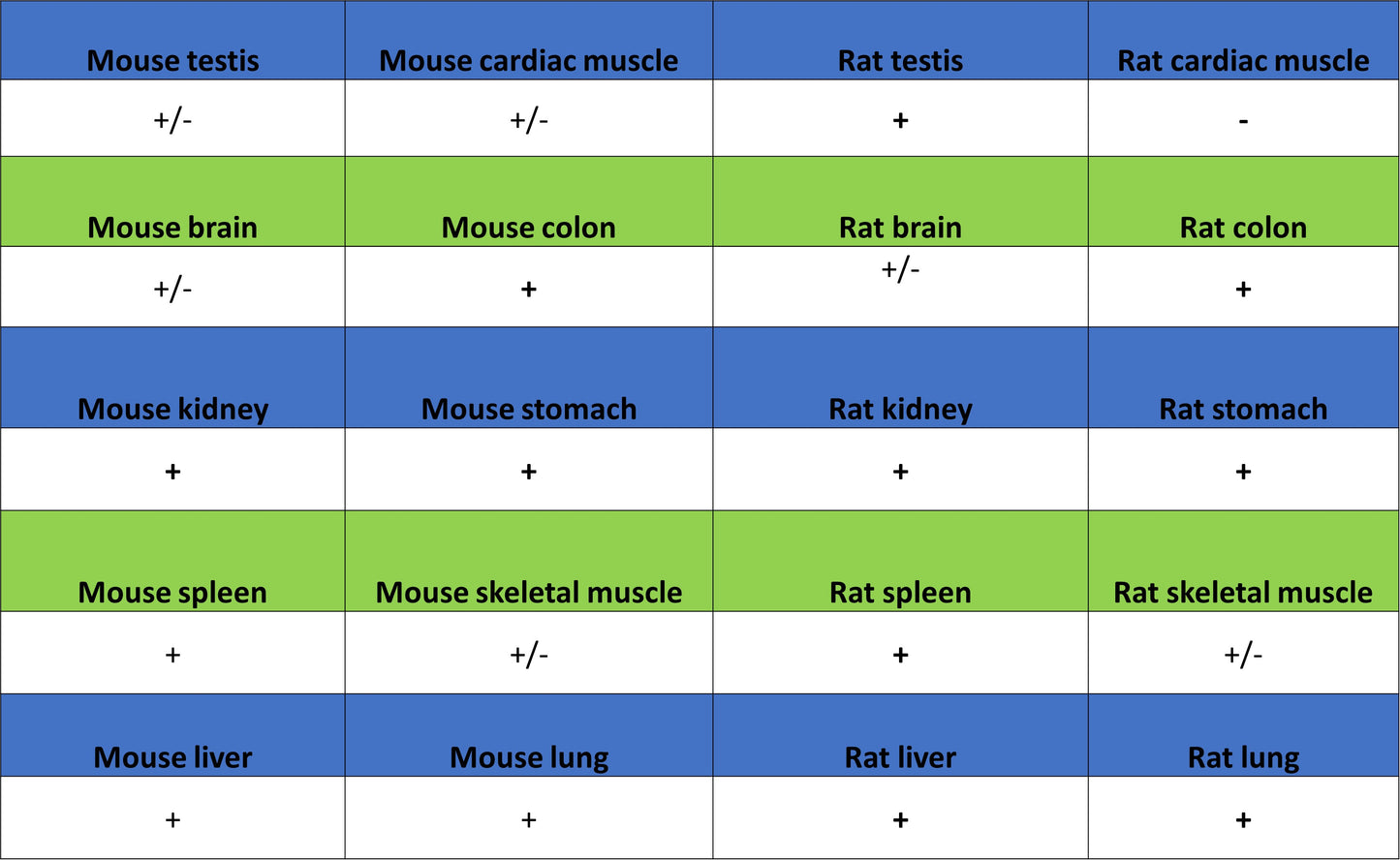 TXNRD1 Mouse mAb (S-M0053)