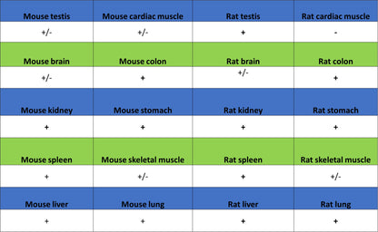 TXNRD1 Mouse mAb (S-M0053)