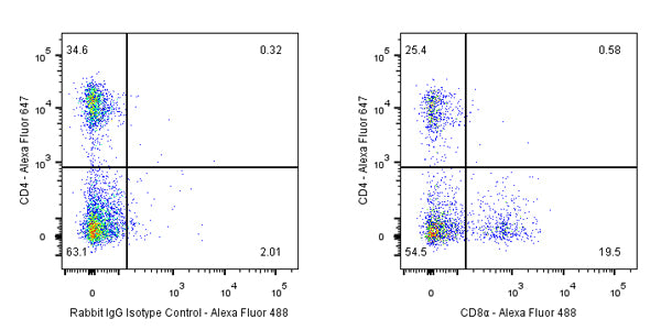 S-RMab®Rabbit mAb IgG Isotype Control (S-R058)