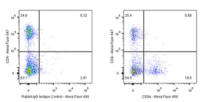 S-RMab®Rabbit mAb IgG Isotype Control (S-R058)