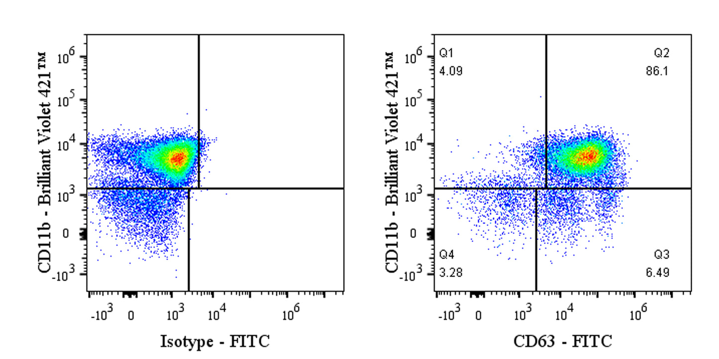 FITC Rat Anti-Mouse CD63 Antibody (S-R667)