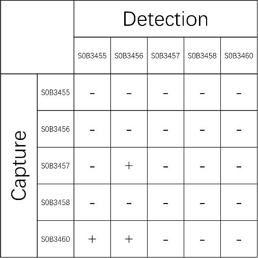 ApoE Recombinant Rabbit mAb (SDT-1849-73)