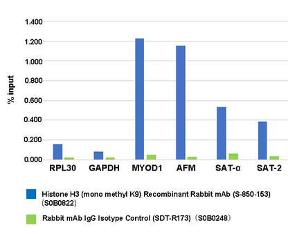 Histone H3 (mono methyl K9) Recombinant Rabbit mAb (S-850-153)