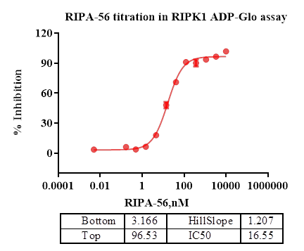 RIPK1 Protein