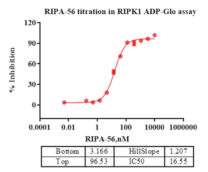 RIPK1 Protein