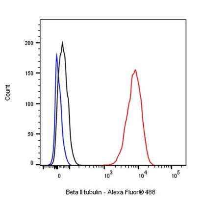Beta II tubulin Recombinant Rabbit mAb (S-1055-2)