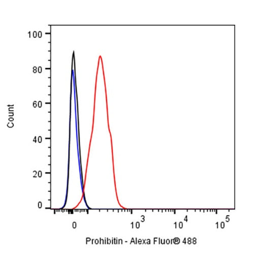 Prohibitin Recombinant Rabbit mAb (S-2679-7)