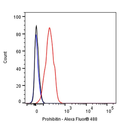 Prohibitin Recombinant Rabbit mAb (S-2679-7)