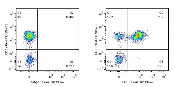 Alexa Fluor® 647 Mouse Anti-Human CD28 Antibody (S-714-76)
