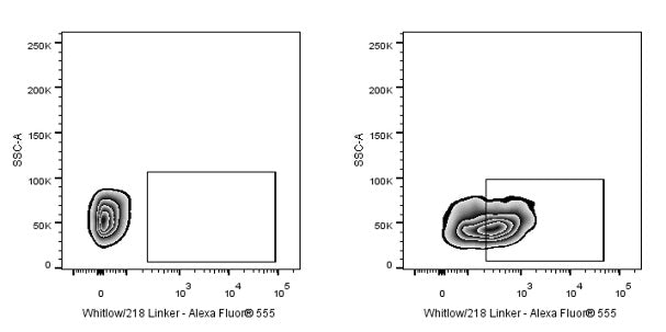 Whitlow/218 Linker Recombinant Rabbit mAb (Alexa Fluor® 555 conjugate) (S-712-10)