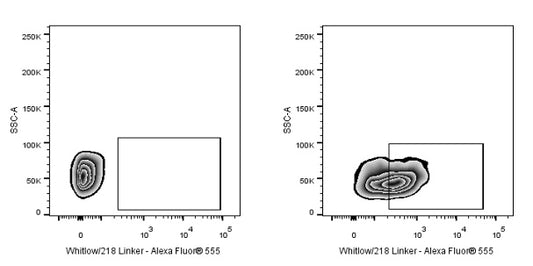 Whitlow/218 Linker Recombinant Rabbit mAb (Alexa Fluor® 555 conjugate) (S-712-10)