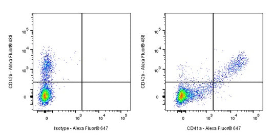 Mouse Anti-Human CD41a Antibody (HIP8)