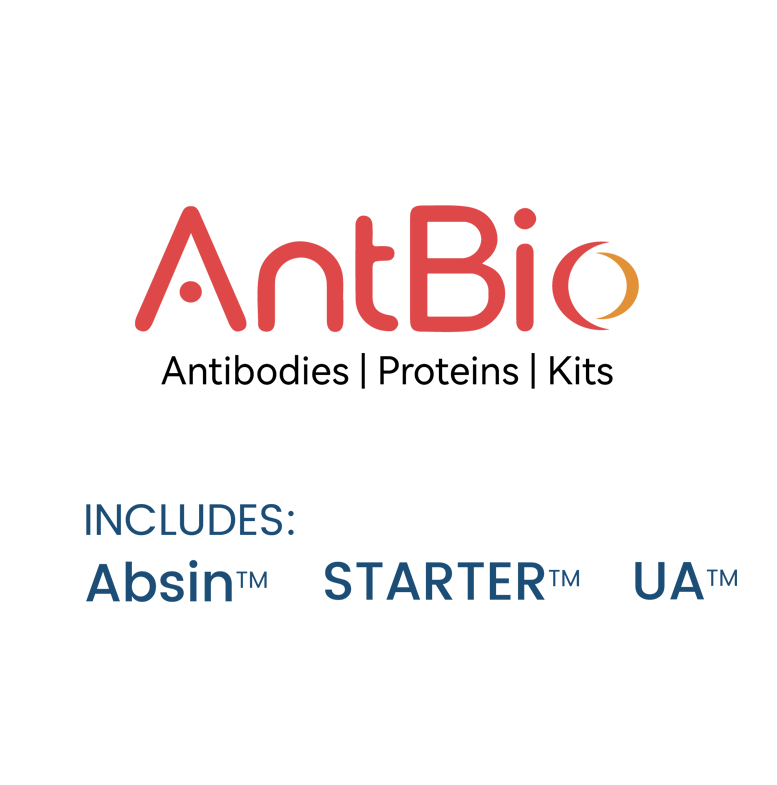 Human TGF-α ELISA Kit