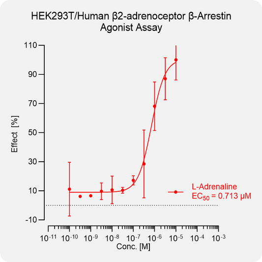 HEK293T Human β2-adrenoceptor
Arrestin Stable Cell