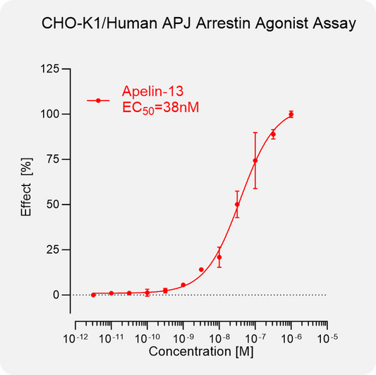 CHO-K1 Human APJ Arrestin Stable Cell