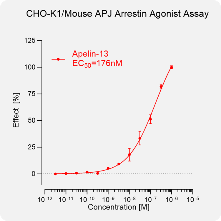 CHO-K1 Mouse APJ Arrestin Stable Cell