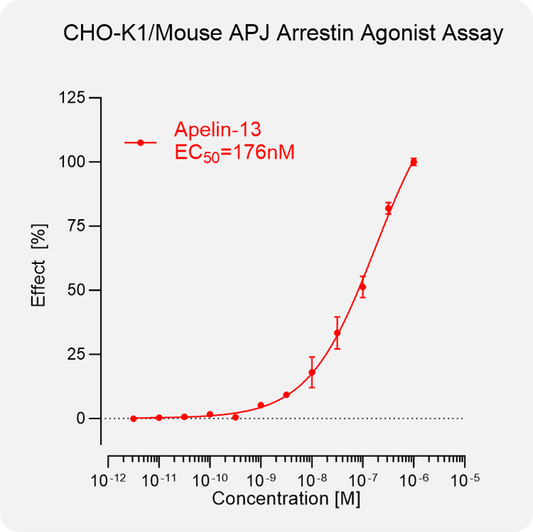 CHO-K1 Mouse APJ Arrestin Stable Cell