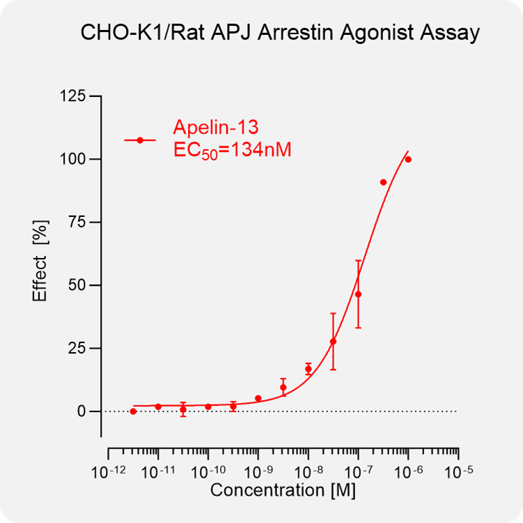 CHO-K1 Rat APJ Arrestin Stable Cell