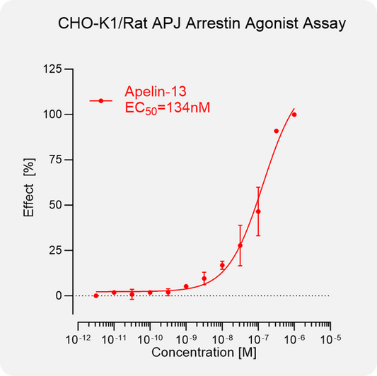 CHO-K1 Rat APJ Arrestin Stable Cell